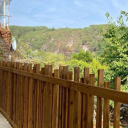 Magnifique Appartement 2/4 Pers - Le Saint Leo Exteriér fotografie
